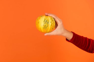 Cadılar bayramı balkabağı elinde çocuk tatil için balkabağı yaratıyor turuncu arka planda, mutlu cadılar bayramı