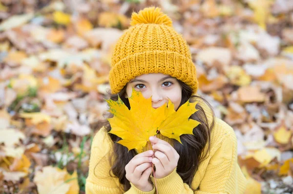 Sonbahar örgü moda. İlham için romantik bir sezon. Mutlu çocukluk. Genç kız parkta dinleniyor. Sonbahar güzeli. Ormanda günün tadını çıkar. Sarı akçaağaç yapraklarını düzenleyen çocuk