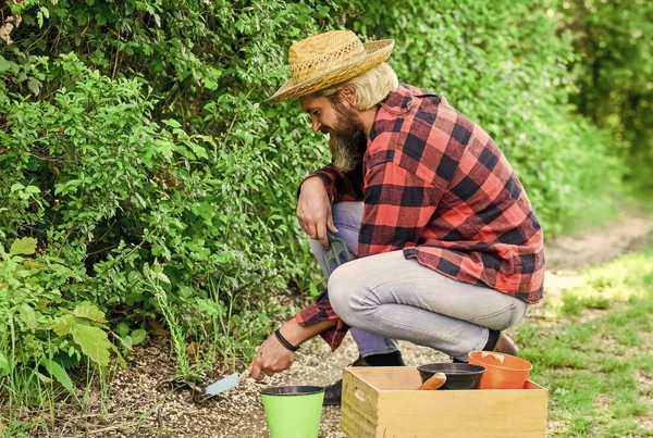 Schaduwtolerante planten kunnen onder bomen worden geplant. Bomen en struiken planten. Tuinman planten bloem met tuin troffel. Boer planten zaailing. Hobby concept. Aardedag. Hou van de natuur. Zomerwerken — Stockfoto