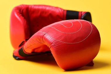 Dövüş ve eğitim için deri kutular. Koruma ve güç.