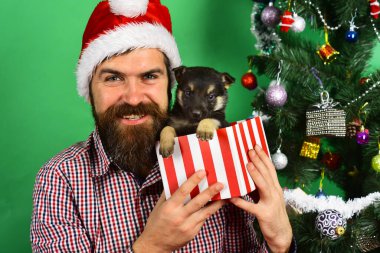 Yeni yıl hediyesi. Şapkalı adam köpek yavrusuyla oynuyor..