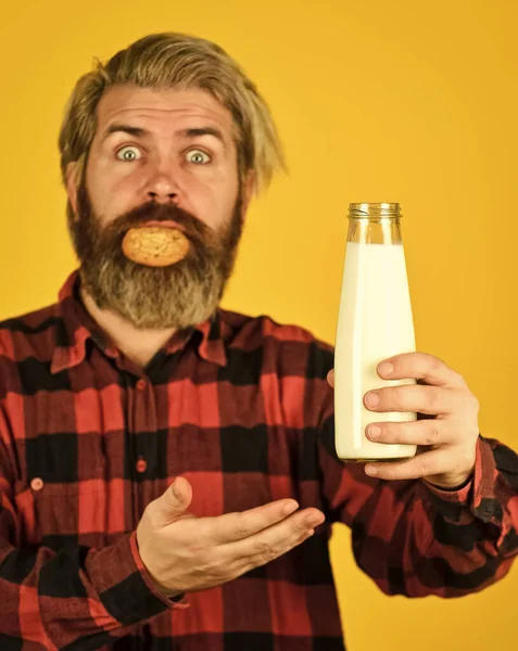 Yummy combination. Recipe homemade cookies. Milk and sweet cookie. Delicious as in childhood. Mature bearded man drink milk with cookie. Breakfast tradition. Happy hipster eat cookie dessert
