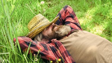 Çiftçilik ve tarım. Hasır şapkalı rahat bir çiftçi. Yetişkin bahçıvan yeşil çimlerde rahatlar. Bahar doğasının tadını çıkar. Yaz sezonu mükemmeldi. Vahşi çiftlik hippileri kareli gömlek giyer. Sakin ol.