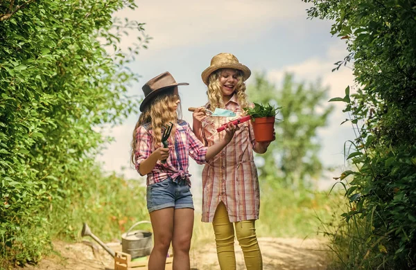 Adorables chicas con sombreros que van a plantar plantas. Niños hermanos divirtiéndose en la granja. Concepto de agricultura ecológica. Chicas con herramientas de jardinería. Hermanas ayudando en la granja. Camino a la granja familiar. Concepto agrícola — Foto de Stock