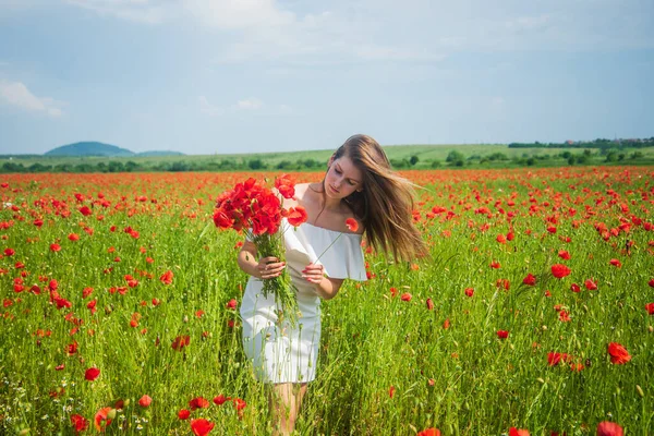 Gyönyörű nő összegyűjti piros mák virág csokor mező. nyári vagy tavaszi természet. szezonális szépség táj. fiatal lány fehér ruhában séta a réten. vakáció. a szabadság érzése — Stock Fotó