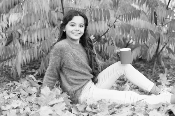 Lány boldog gyerek bögre őszi parkban színes lombozat háttér. Kényelmes ötletek az őszi piknikhez. Forró ital. Egészségügyi ellátás. A kisgyerek szereti az őszi forró italt. Gyermekem, pihenj az őszi fán. — Stock Fotó