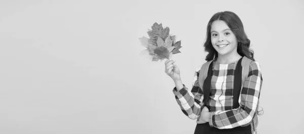 Bildung für kleine Köpfe. Glückliches kleines Mädchen. Kleines Kind lächelt mit gelben Blättern. Kleines Kind hält Herbstlaub in der Hand. Entzückendes kleines Schulkind mit süßem Lächeln im Herbst. Schule und Bildung, Kopierraum — Stockfoto