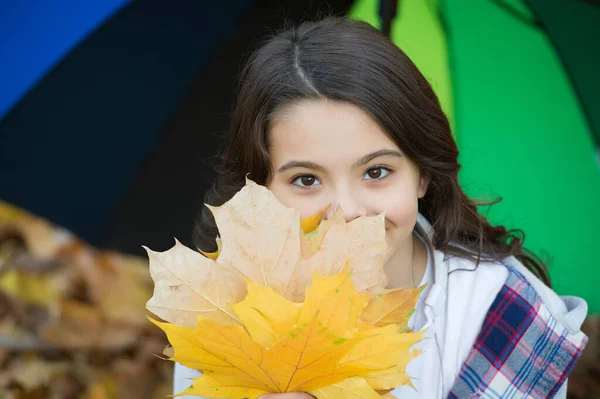 Colori d'autunno. Ragazza felice faccia di copertura con foglie autunnali. Bellezza. Ombrello per camminare sotto vento e pioggia. Meteo autunnale. Stagione migliore per andare all'aperto — Foto Stock