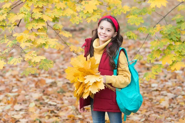 Perfetta giornata autunnale di allegro bambino con borsa scuola e acero foglie disposizione a piedi nel parco stagione autunnale con bel tempo, settembre — Foto Stock
