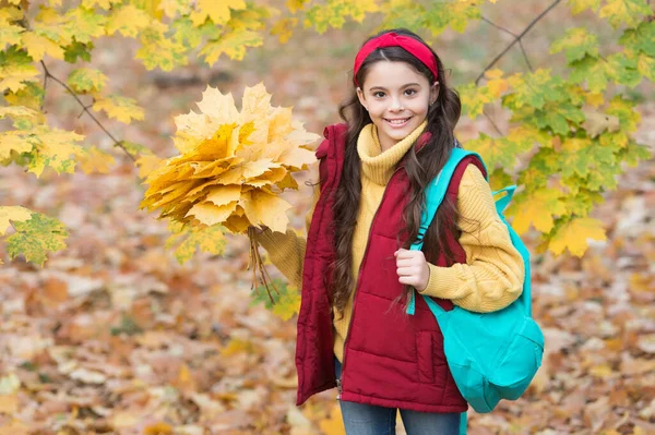 Őszi gyerek divat. Az inspiráció romantikus évszaka. Boldog gyermekkort. Vissza az iskolába. tini lány hátizsákkal tartsa juharfa levelek a parkban. őszi szépség. élvezze a napot az erdőben — Stock Fotó