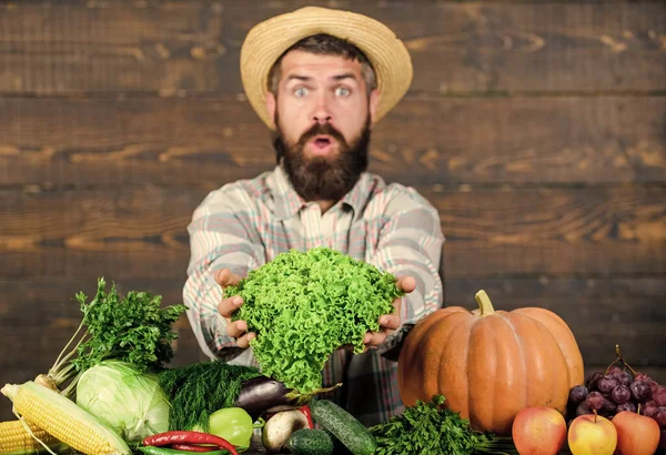 Πουλάω λαχανικά. Τοπική αγορά. Τοπική έννοια των καλλιεργειών. Αγοράστε λαχανικά τοπική φάρμα. Τυπικός αγρότης. Γιορτή συγκομιδής γεωργικών αγορών. Άνδρας ώριμος γενειοφόρος αγρότης κατέχει λαχανικά ξύλινο υπόβαθρο — Φωτογραφία Αρχείου