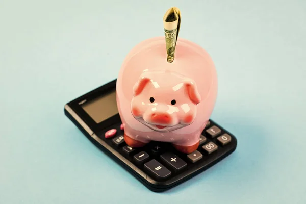 Экономика и финансы. Розовая свинья из копилки набила доллар банкнотой и калькулятором. Финансовое благополучие. Сберегательный счет. Сберегательный депозит - это удобный гибкий способ хранения сбережений. Экономия денег — стоковое фото