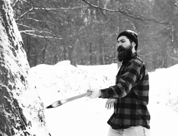 Handsome brutal lumberjack cuts tree — Stock Photo, Image