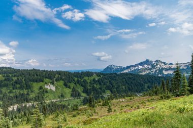Bulutlu gökyüzü olan vadi manzarası. Yeşil Tepe Dağı manzaralı. Seyahat güzergahı. Vahşi dağda, orman ve yeşil yamaçlarla nefes kesici bir yaz. Geniş çayırlı dağ manzarası.