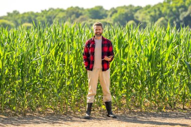 Farmer agronomist man with tablet in cornfield. Technology of modern agriculture. Farmer man working on field with tablet. Hispanic farmer with tablet check corn harvest. Crop harvest.
