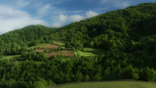 Tilt Shift Photography Green mountainsides with trees and a vegetable garden under a blue cloudy sky. Carpathian. Carpathian mountains.