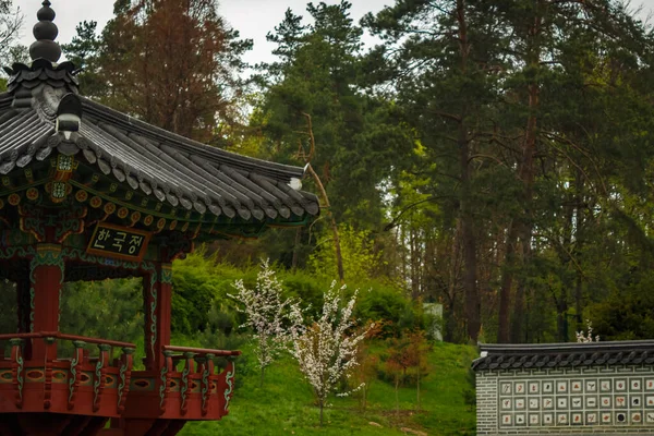 Japanese-style wooden gazebo in a blooming cherry garden. Japanese garden. Chinese garden. Korean garden. Asian architecture.
