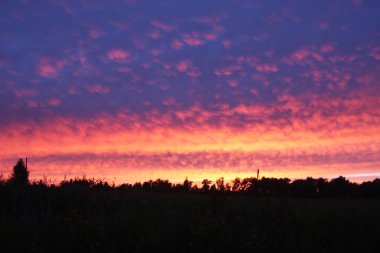 karanlık bir ormana karşı kızıl gün batımı