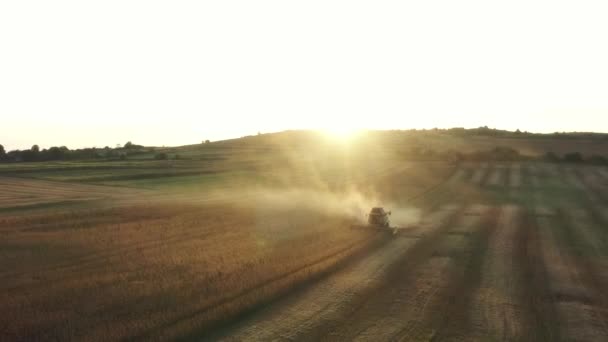 해질 무렵, 수확기는 대두를 수확합니다.. — 비디오