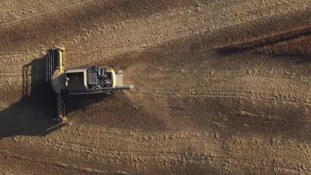 Agricultura y cosecha, maquinaria agrícola en polvo trabajando en el campo de soja en otoño — Vídeos de Stock