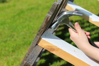 Elle tutulan tepside kurumuş elmalar var. 