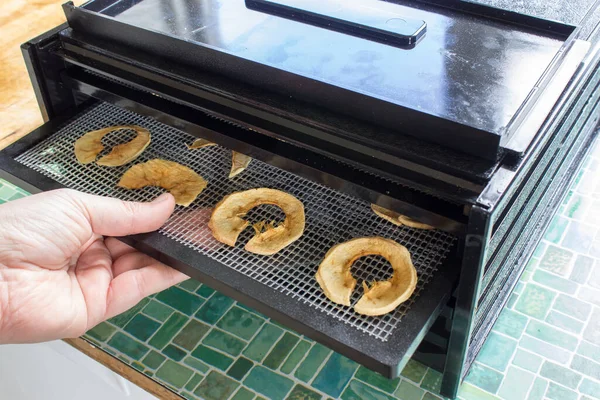 Plateau Mise Main Avec Pommes Séchées Dans Déshydrateur — Photo