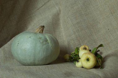 Kaba bir bez üzerinde küçük yabani elma ile Yeşil kabak, sonbahar natürmort