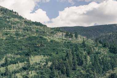 Yeşil ormanlar ve üstüne kar ile Colorado dağlarına güzel manzara görünümü, dağ nehri. Aspen'de küçük bir köy.