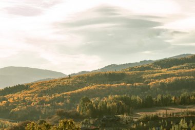 Eylül ayında Sonbahar yeşillik sezonunda Aspen güzel dağlar. Colorado eyaletinin dağlarında renkli ağaçlar.