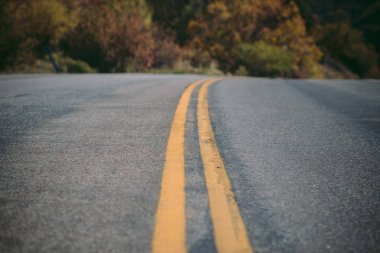 Eylül ayında Sonbahar yeşillik sezonunda Aspen güzel dağlar. Colorado eyaletinin dağlarında renkli ağaçlar.