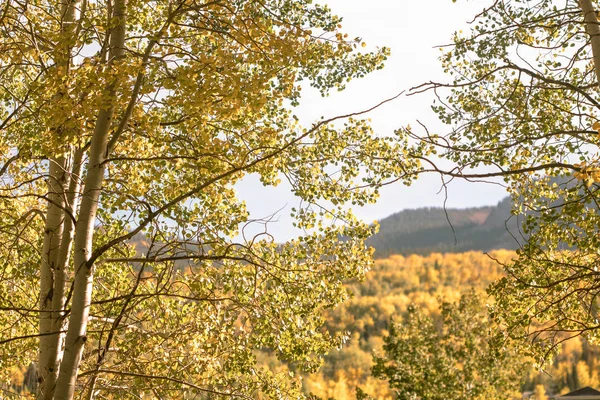 Hermosas montañas en Aspen en la temporada de follaje de otoño en septiembre. Coloridos árboles en las montañas del estado de Colorado . — Foto de Stock