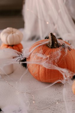 Farklı kabaklar, ışık, örümcekler ile Ürkütücü Halloween dekorasyon. Cadılar Bayramı masa dekorasyonu.