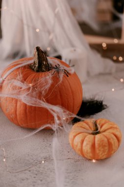 Farklı kabaklar, ışık, örümcekler ile Ürkütücü Halloween dekorasyon. Cadılar Bayramı masa dekorasyonu.
