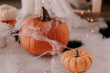 Farklı kabaklar, ışık, örümcekler ile Ürkütücü Halloween dekorasyon. Cadılar Bayramı masa dekorasyonu.