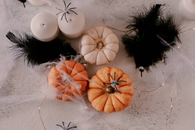 Farklı kabaklar, ışık, örümcekler ile Ürkütücü Halloween dekorasyon. Cadılar Bayramı masa dekorasyonu.