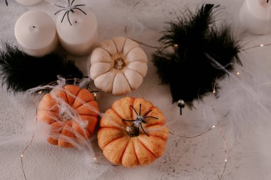 Farklı kabaklar, ışık, örümcekler ile Ürkütücü Halloween dekorasyon. Cadılar Bayramı masa dekorasyonu.
