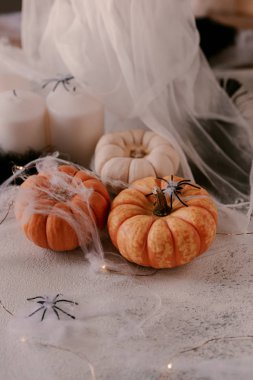 Farklı kabaklar, ışık, örümcekler ile Ürkütücü Halloween dekorasyon. Cadılar Bayramı masa dekorasyonu.