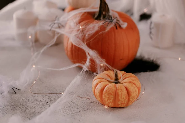 Spooky Halloween decoration with different pumpkins, light, spiders. Halloween table decoration. — Stock Photo, Image