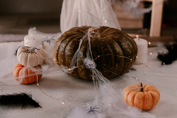 Farklı kabaklar, ışık, örümcekler ile Ürkütücü Halloween dekorasyon. Cadılar Bayramı masa dekorasyonu.