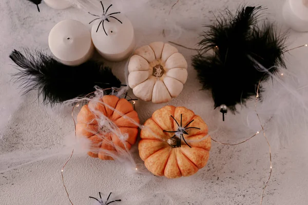 Farklı kabaklar, ışık, örümcekler ile Ürkütücü Halloween dekorasyon. Cadılar Bayramı masa dekorasyonu.