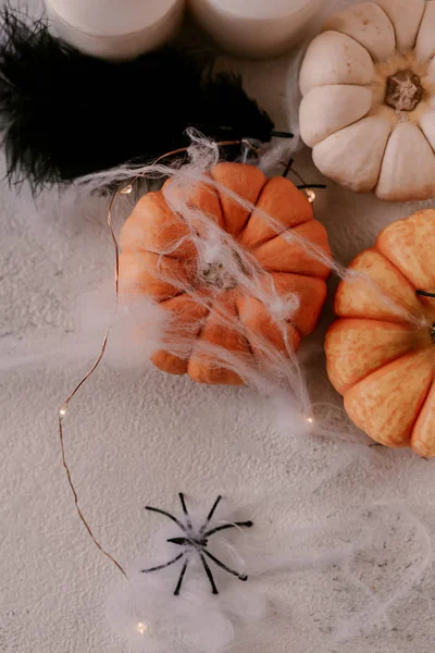 Farklı kabaklar, ışık, örümcekler ile Ürkütücü Halloween dekorasyon. Cadılar Bayramı masa dekorasyonu.