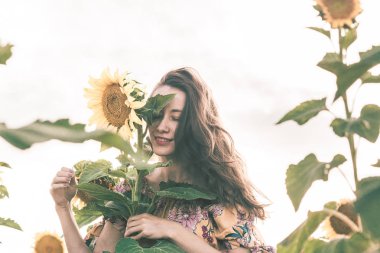 Güzel bayan bir yaz elbisesi içinde gün batımı sırasında ayçiçeği alanında yürüyor.