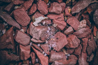 Güzel sonbahar yaprakları ve yağmur sonrası su damlaları. Muhteşem sonbahar renkleri. Bulanık makro yapraklar. Renkli sonbahar yapraklarına düşen yağmur damlalarıyla örümcek ağı yakın plan.