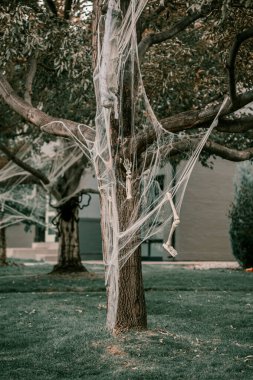 Korkunç ürkütücü Cadılar Bayramı evi dekorasyonları. Cadılar Bayramı sezonu. 31 Ekim ürkütücü bir gün. Şaka mı şeker mi çocuklar tatili mi? Korkunç cadı, hayalet, örümcekler, palyaço, balkabağı, iskelet dekoru. Tabut çimlerin üzerinde.