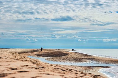 Mavi bir gökyüzü altında güneşli bir plajda iki siluetler
