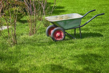 Bahçe araba, yeşil çim ente ve çalılar