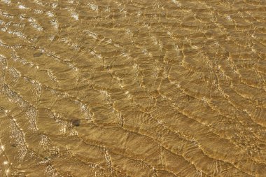 Altın ve sarı kum ve su dokusu.