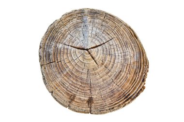 Rüzgâr ve kumla zımparalanmış bir kütük kes. Eski ağaç