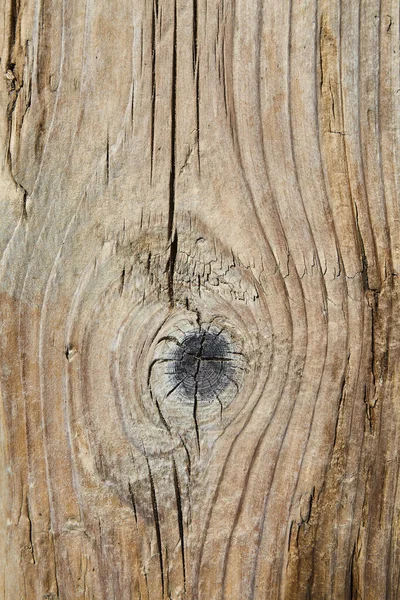 Textura natural de tablón de madera vieja con nudos y grieta — Foto de Stock
