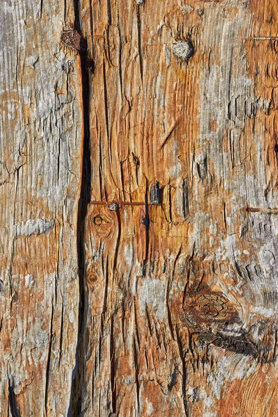 Textura natural de una tabla de madera con nudos y una grieta — Foto de Stock